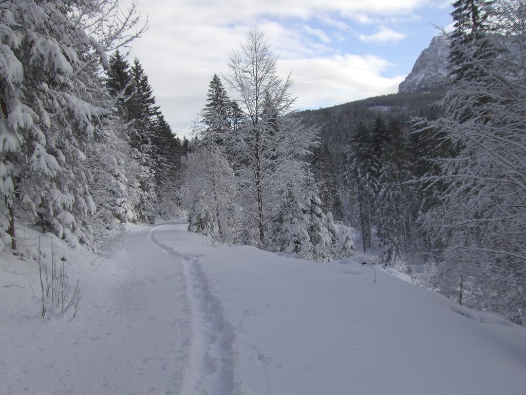 אינזל Ferienwohnung Am Roemerweg Wald מראה חיצוני תמונה