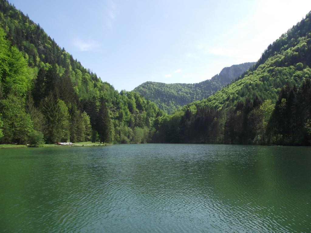 אינזל Ferienwohnung Am Roemerweg Wald מראה חיצוני תמונה