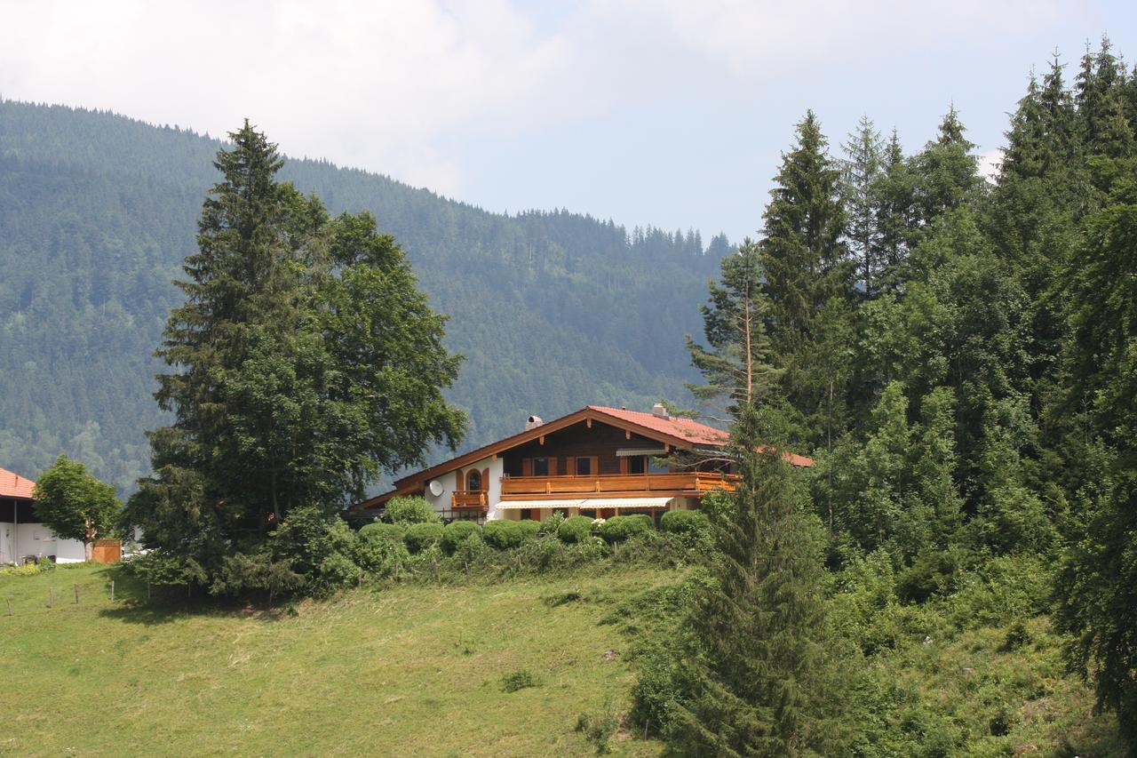 אינזל Ferienwohnung Am Roemerweg Wald מראה חיצוני תמונה