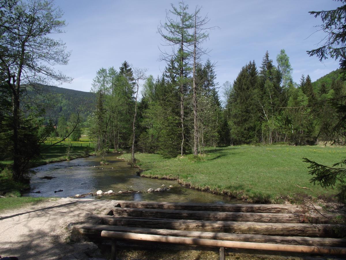 אינזל Ferienwohnung Am Roemerweg Wald מראה חיצוני תמונה